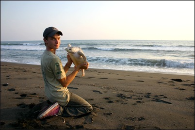conservation-volunteer-on-the-beach