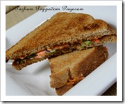VEGETABLE SANDWICH
