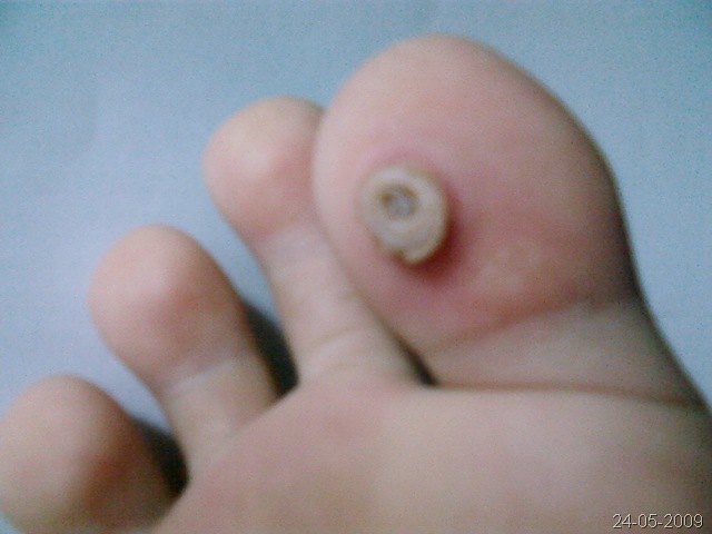 [240520090036.jpg]