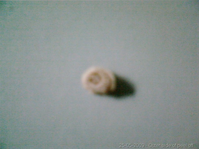 [250520090125.jpg]