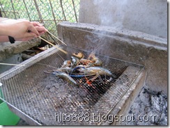IMG_2582 (ALvl   Sat30)
