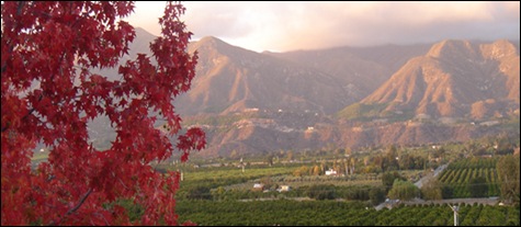 ojai11 ojai11