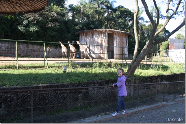Zoo 2010 080