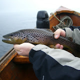 Petrohue 2008