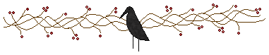 [divider08[7].gif]
