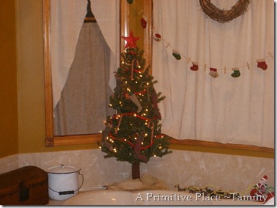 A Primitive Place ~Tammy