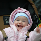  &ndash;  &ndash; 01-May-2010