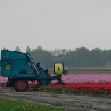  &ndash;  &ndash; 01-May-2010