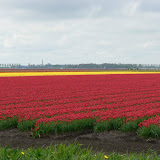  &ndash;  &ndash; 01-May-2010