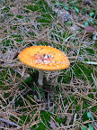 P1040127.JPG