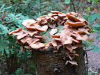 P1040160.JPG