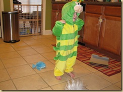 IMG_4412 IMG_4412