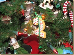 IMG_4639 IMG_4639