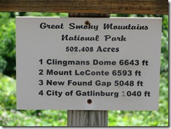 IMG_5973 IMG_5973