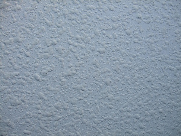 DSCF4599