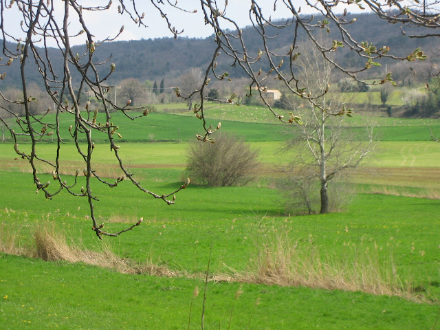 בדרך ל Manosque
