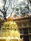 2009-01-31_00004.jpg
