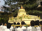2009-01-31_00008.jpg
