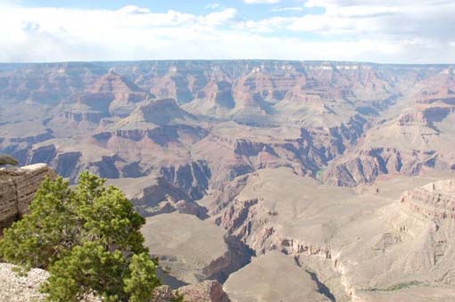 Grand Canyon Picture