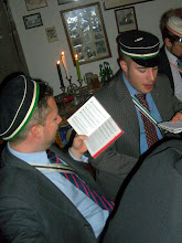 Rodensteiner
