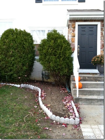 front-yard-before