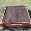 SerenDippity's Square Bed #3 garden