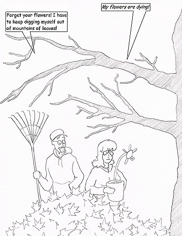[comic fall[6].jpg]