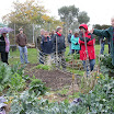 Ballarat Community Garden