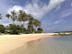 beach.jpg