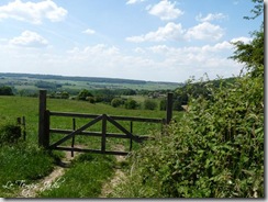 Mergelland juni 2009