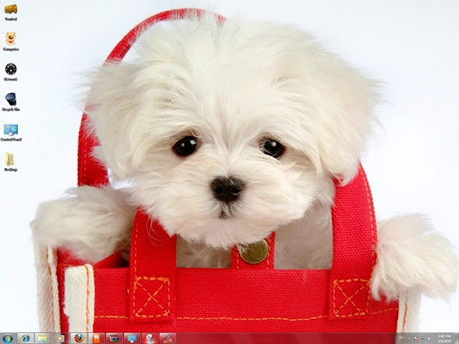 Cute Puppies Windows 7 Theme