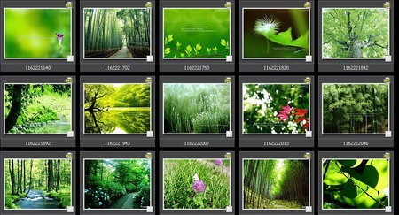 [Cool-Green-Nature-Wallpapers-Collection[3].jpg]