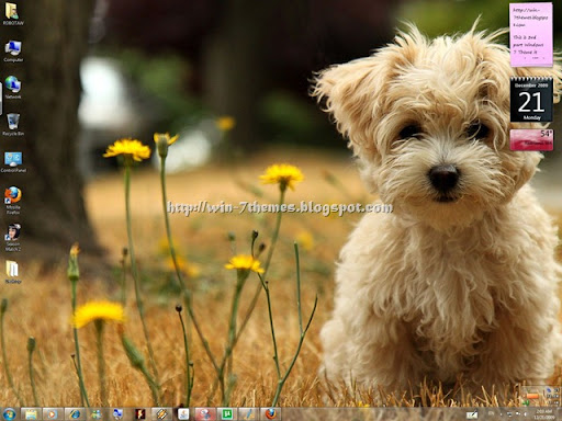 This Is Windows 7 Theme is For Dogs Lovers ( like ME :$ ) i love both dogs 