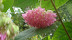 DSC01860.JPG