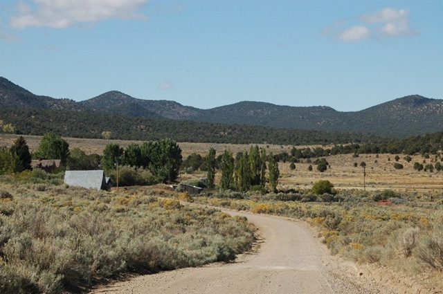 [PintoRoad6.jpg]