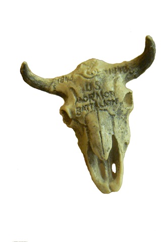 [Buffalo Skull 2[22].jpg]