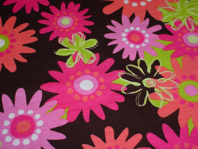Wild Daisy