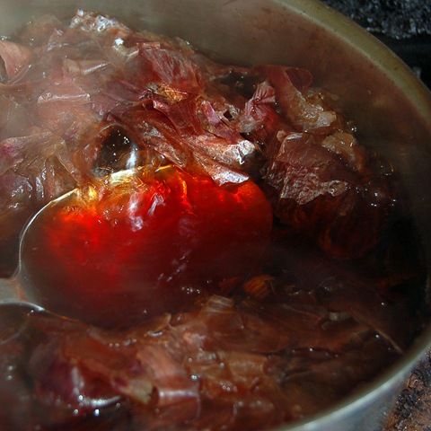 [onion skin water[4].jpg]
