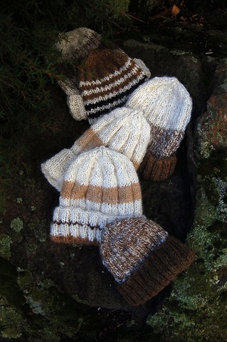 [Alpaca project - Jill's hats[5].jpg]