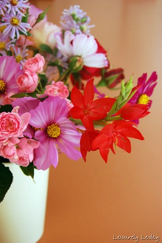 [Mitty's flowers 1[26].jpg]