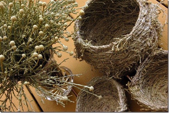 cushion bush baskets
