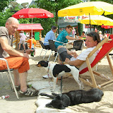 Sommerhunde voll entspannt