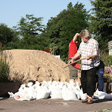 HS_20100709_Guido_Kraut_GER0008.jpg
