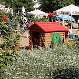 HS_20100713_Guido_Kraut_IMG_0567.jpg