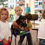 HS_20100724_Guido_Kraut_IMG_1658.jpg
