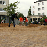 HS_20100830_Guido_Kraut_IMG_2100.jpg