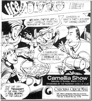 Camellia Show March 1991