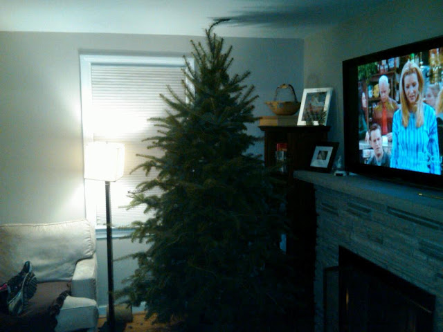 IMG00047-20101205-1735.jpg