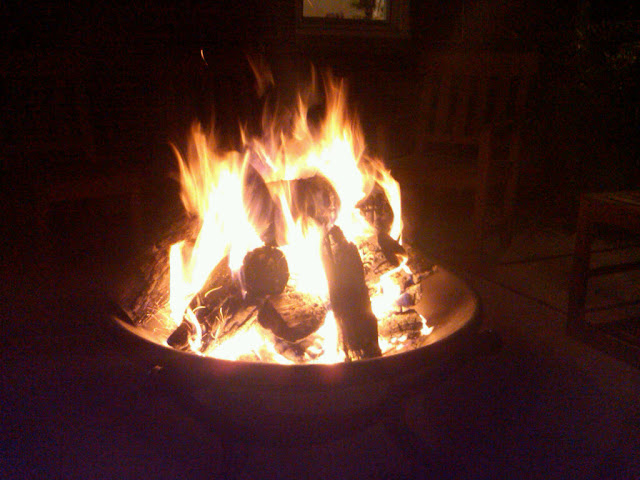 IMG00034-20101204-1833.jpg