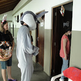 DSC08684.JPG